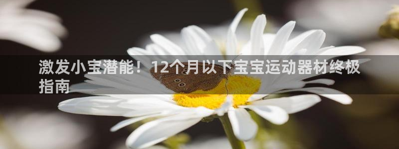 海南意昂体育3：激发小宝潜能！12个月以下宝宝运动器