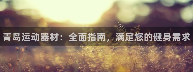 意昂3神州：青岛运动器材：全面指南，满足您的健身需求