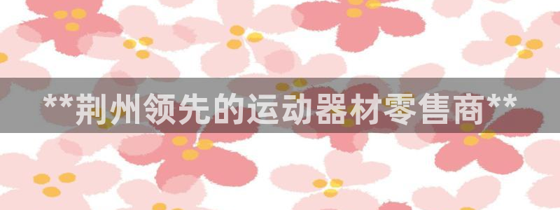 意昂3五金厂：**荆州领先的运动器材零售商**