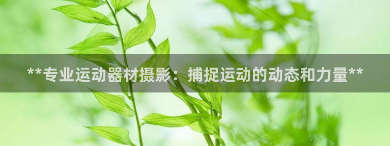 意昂体育3招商电话地址查询：**专业运动器材摄影：捕