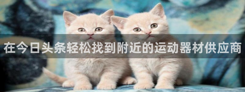 意昂体育3：在今日头条轻松找到附近的运动器材供应商