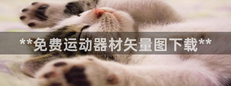 意昂体育3平台假的吗是真的吗：**免费运动器材矢量图