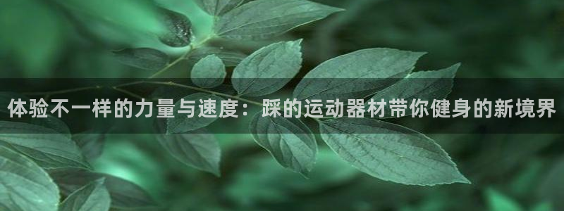 意昂体育3招商电话号码查询