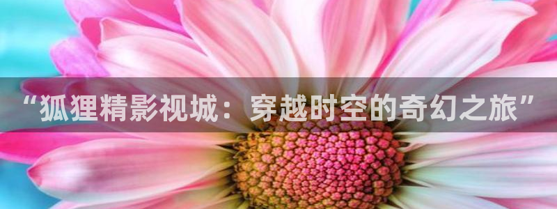 .真不卡影院