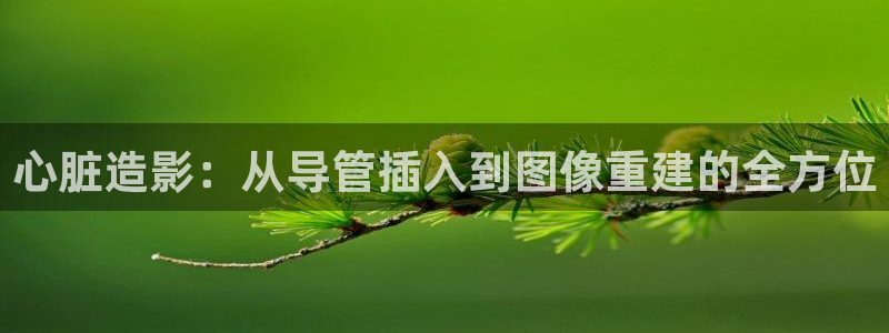 真不卡影院在线