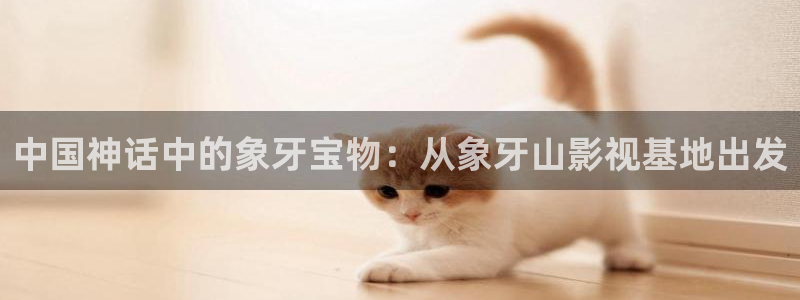真不卡影视安卓下载