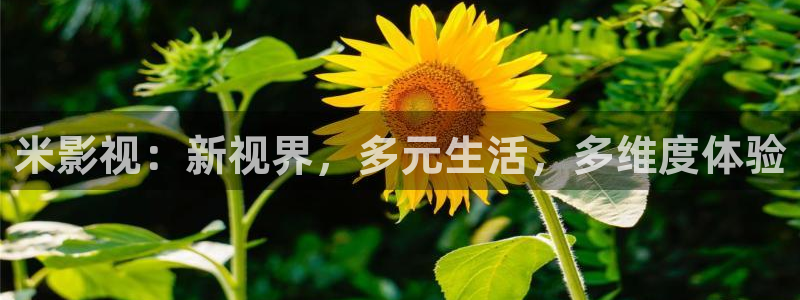 狂飙电视剧全集免费播放真不卡影院