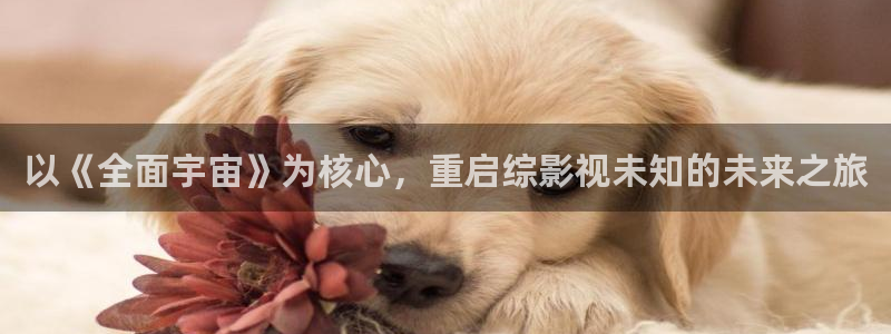 真不卡影视网站